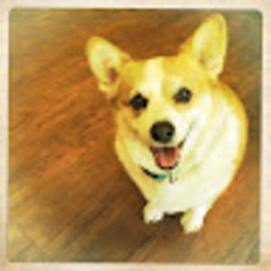 Meet your Posher, Arthur